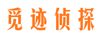 桃江外遇出轨调查取证